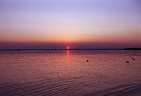 Sonnenuntergang Chiemsee-CoN01_34