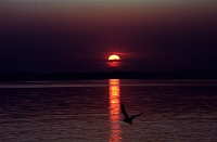 Sonnenuntergang Chiemsee-CoN01_27