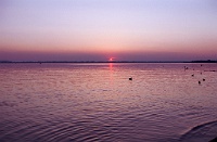 Sonnenuntergang Chiemsee-CoN01_33
